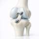 Current Concepts in the Treatment of Pediatric Anterior Cruciate Ligament (ACL) Tears