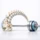 Lessons from the Gym: How Powerlifting Affects Your Arch